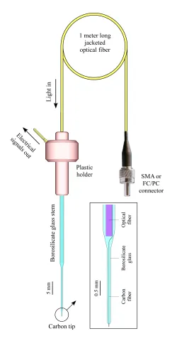 single coaxial carbon micro optrode, carbon fiber microelectrode, carbon electrochemistry, voltammetry, amperometry,micro-biosensor, spike single unit recording, optogenetics, kation scientific,