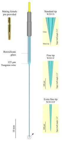 Tungsten-in-glass  microelectrode