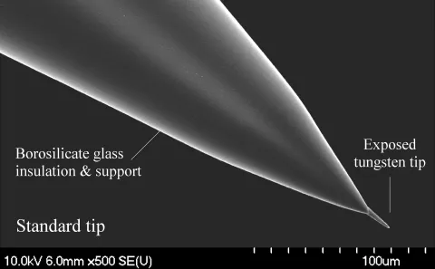 Tungsten-in-glass ME SEM image