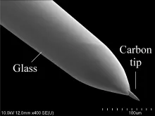 Carbon optrode SEM image