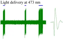 Carbon optrode spike recording