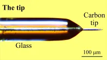 Carbon optrode tip