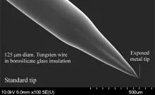 Tungsten-in-glass SEM image2
