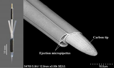 Carbostar-3 recording/iontophoresis microelectrode