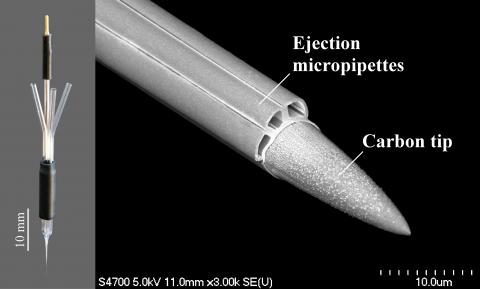 Carbostar-4 recording/iontophoresis microelectrode