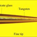Fine-tip tungsten microelectrode photomicrograph